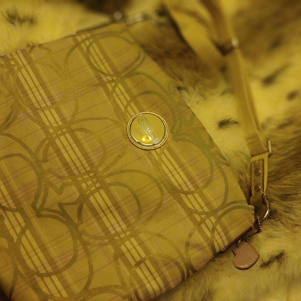 Coach lavender and beige plaid pag - Picture 4 of 6
